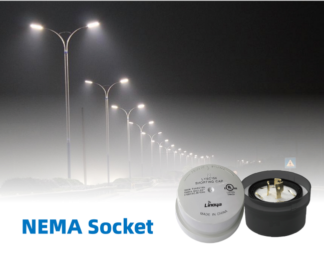 NEMA Socket